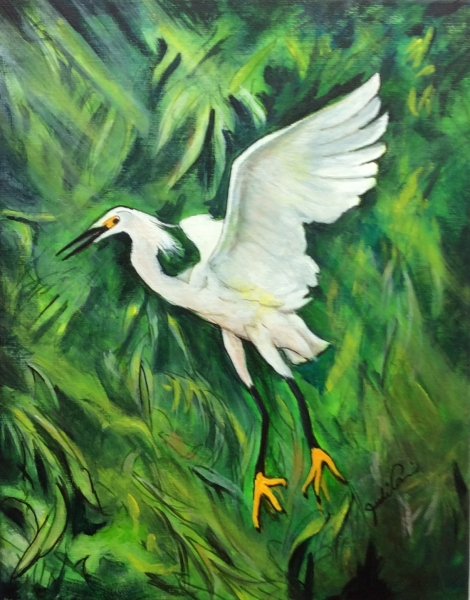 Click here to view Egret - Taking Flight by Judi Cain, Artist